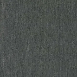 Finition Anthracite brosse, référence 67 - Salamander