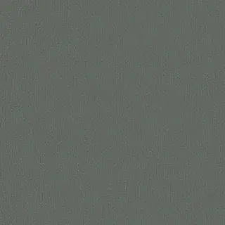 Finition Gris basalte, référence 74 - Salamander